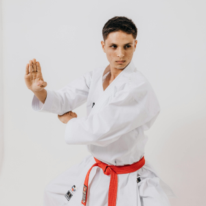 sin título (250 x 100 px) (250 x 380 px) (100 x 250 px) (100 x 409 px) (709 x 409 px) (609 x 409 px) (700 x 650 px) (300 x 300 px)