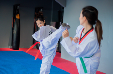 sin título (250 x 100 px) (250 x 380 px) (100 x 250 px) (380 x 250 px) (1)